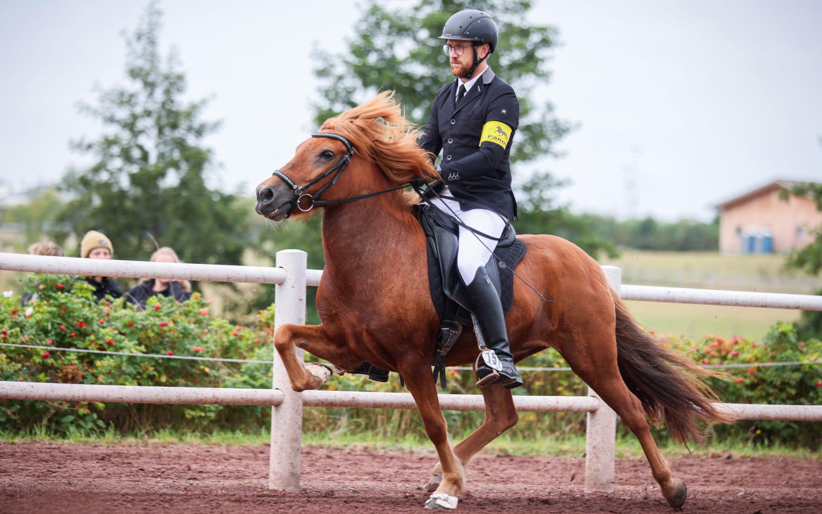 Ein Reiter in schwarzer Turnierkleidung reitet ein fuchsfarbenes Islandpferd im Passgang auf einer Bahn, beobachtet von Zuschauern.