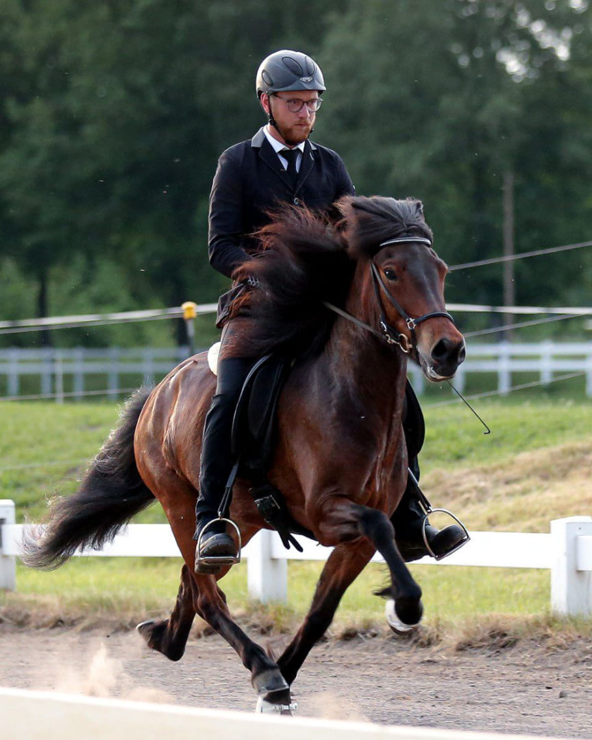 Fabian-Schrader-Islandpferde- new2025-0 Ein Reiter in schwarzer Turnierkleidung reitet ein braunes Islandpferd im Pass auf einer Bahn, umgeben von Wiese und weißen Zäunen.